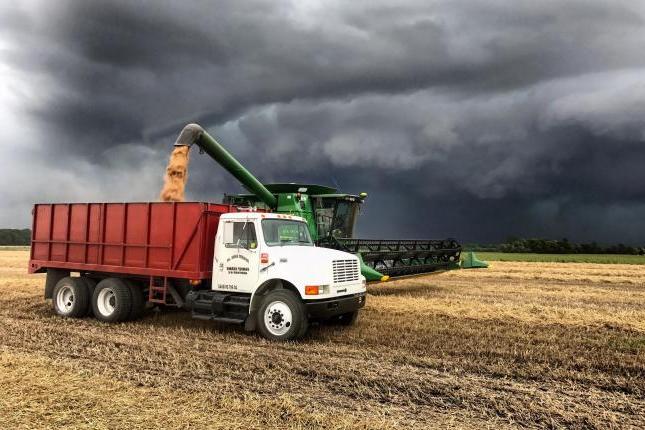 Farming with a dark, cloudy sky
